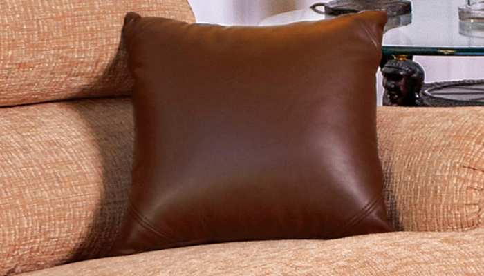 Scatter Cushion